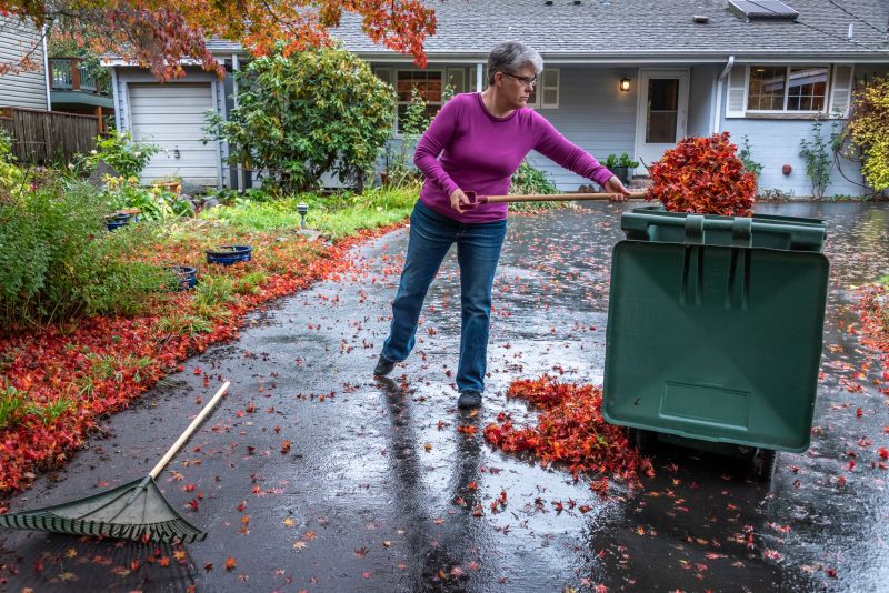 Professional Leaf Clearing