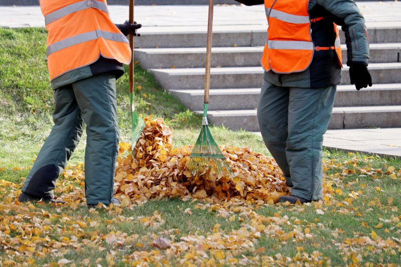 Leaves Being Raked into Piles
