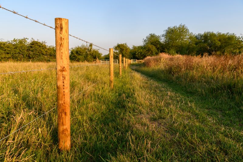 Fence Line Trimming
