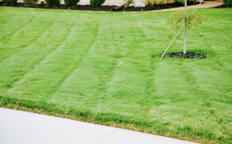 Lawn with Even Cut