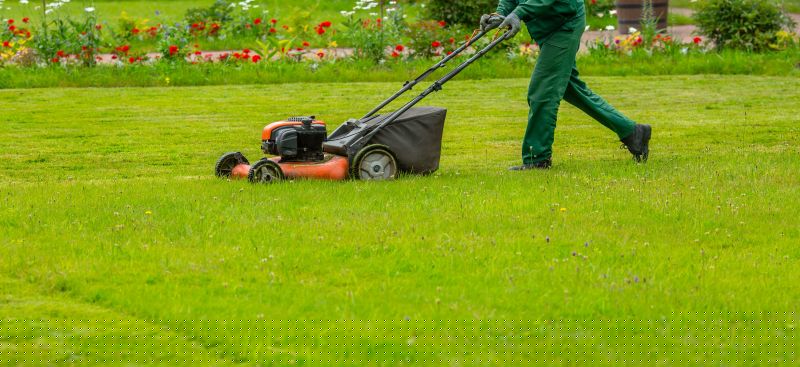 Weekly Lawn Maintenance