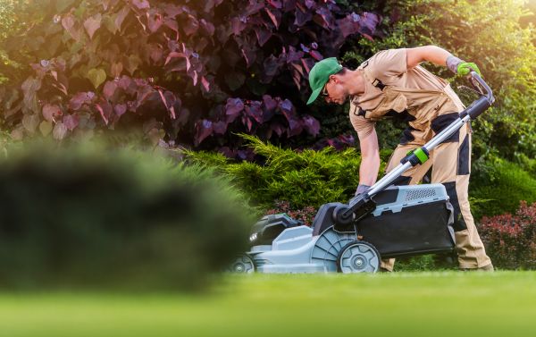 Cost of Lawn Care And Maintenance in Boynton Beach