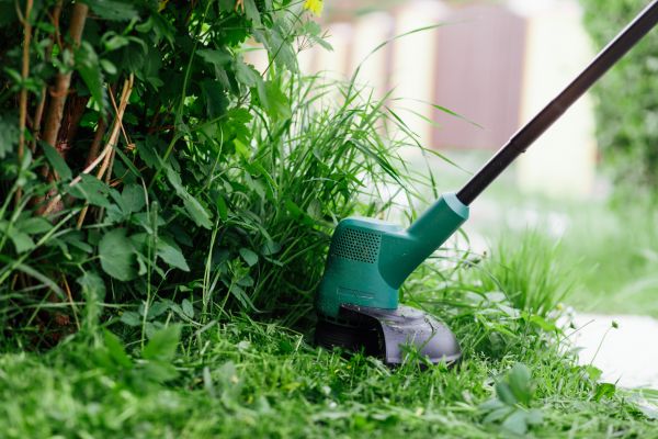 Cost of Weed Whacking in Boynton Beach