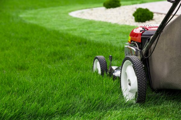 Cost of Lawn Service in Boynton Beach