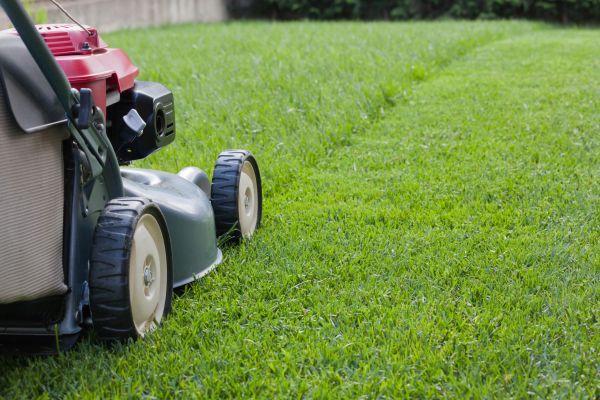 Cost of Spring Lawn Maintenance in Boynton Beach