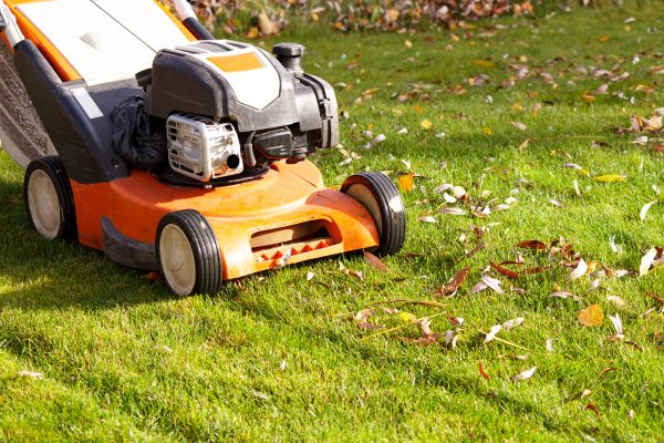 Cost of Fall Mowing in Boynton Beach